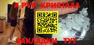 индика Пугачёв