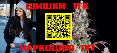 индика Пугачёв