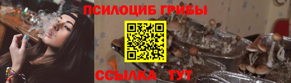Воркута  Галлюциногенные грибы Psilocybe  Вход с VPN  Галлюциногенные грибы ЛСД 